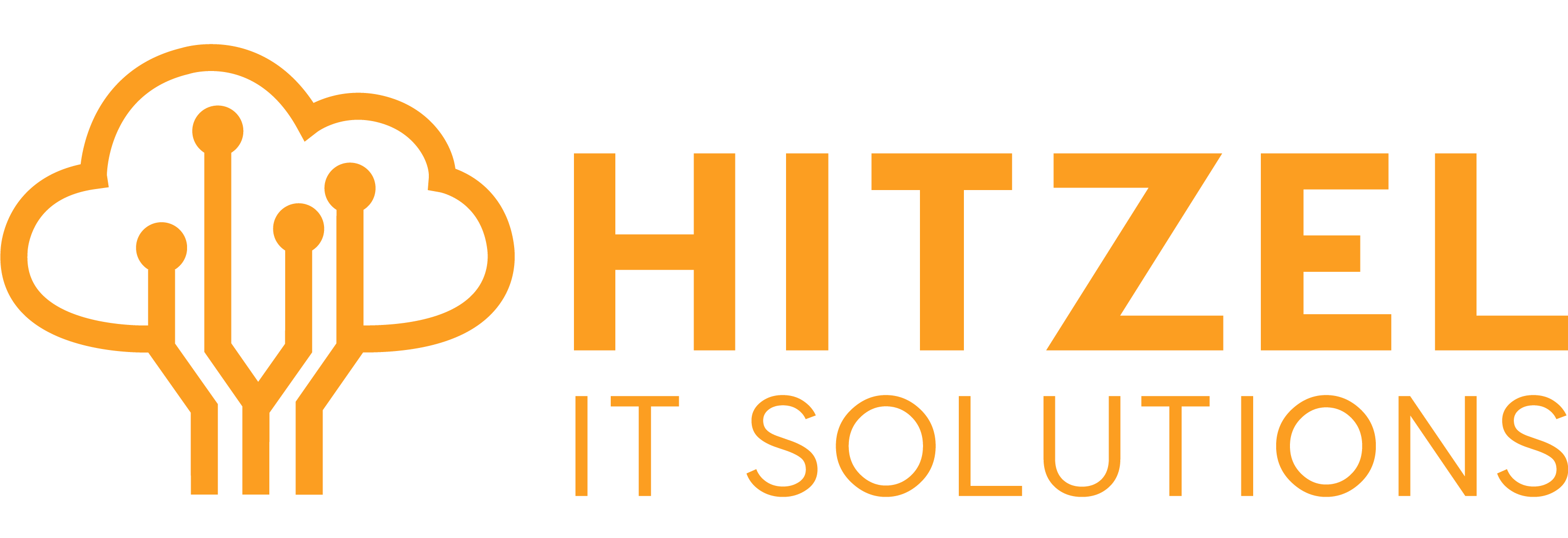 Hitzel IT Solutions